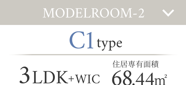 C1type